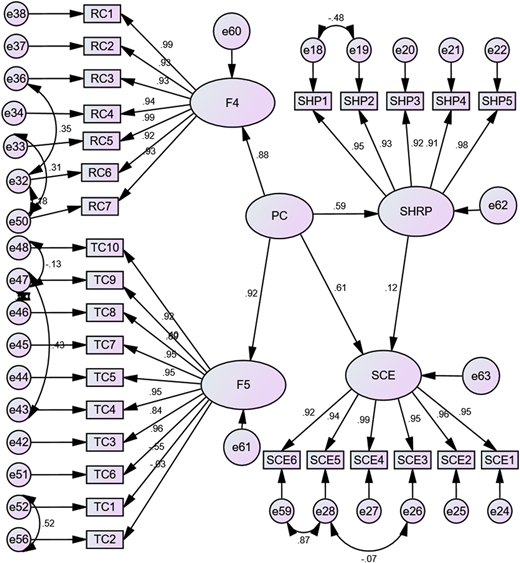 A diagram illustrating the relationships between various factors and sustainable HR practices.