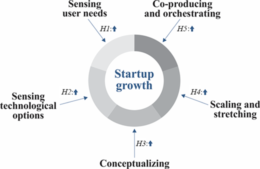 Conceptual model Refer to the image caption for details.