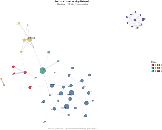 Co-authorship network. Source: Scopus data base Refer to the image caption for details.