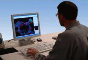 Figure. Refer to the image caption for details.
