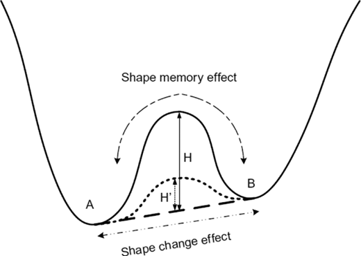 Figure 1 Refer to the image caption for details.