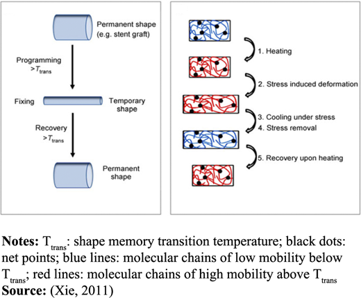 Figure 2 Refer to the image caption for details.