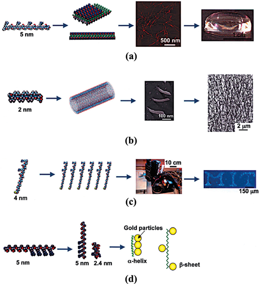 Figure 5 Refer to the image caption for details.