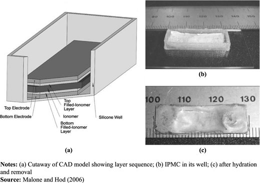 Figure 6 Refer to the image caption for details.