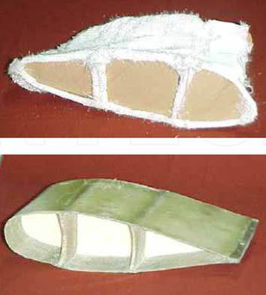 Plate 1. Refer to the image caption for details.