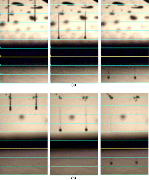 Figure 4 Refer to the image caption for details.