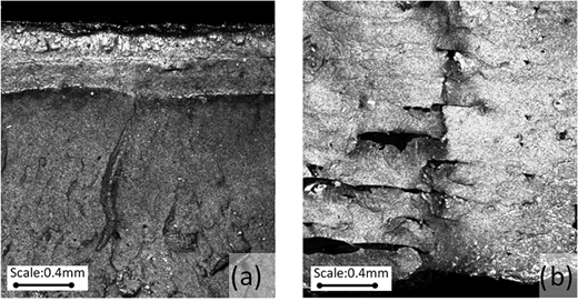 Figure 11 Refer to the image caption for details.