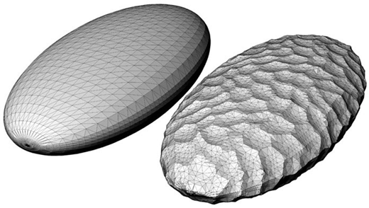 Figure 1 Refer to the image caption for details.