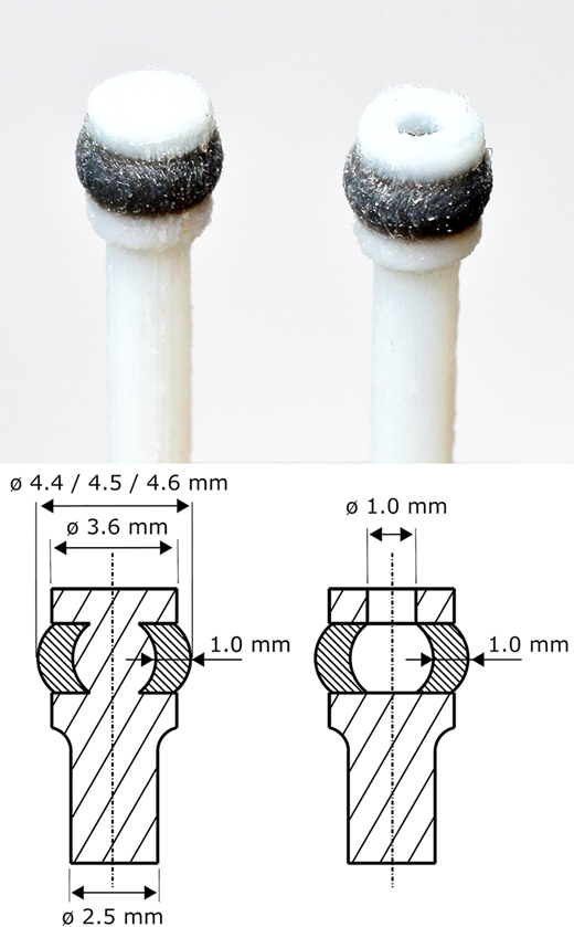 Figure 1 Refer to the image caption for details.
