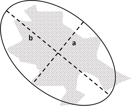 Figure 4 Refer to the image caption for details.
