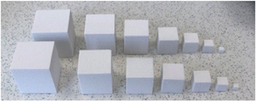 Figure 1 Refer to the image caption for details.
