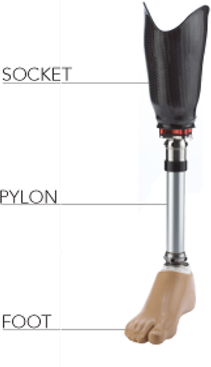 Figure 1 Refer to the image caption for details.