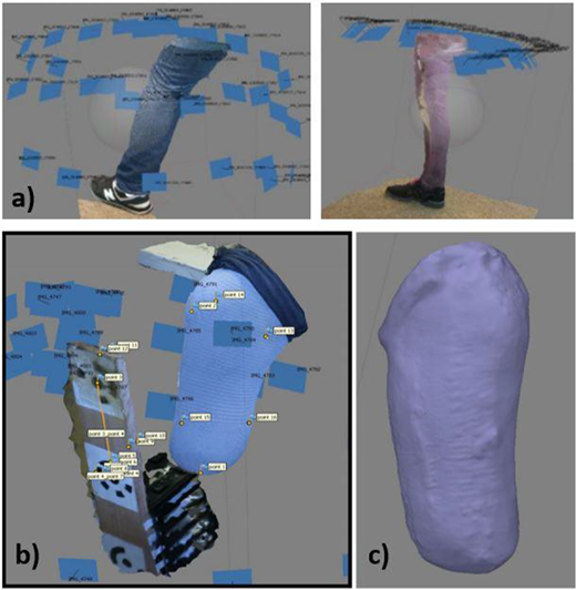 Figure 2 Refer to the image caption for details.