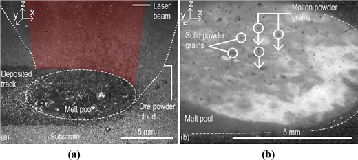 Figure 2 Refer to the image caption for details.