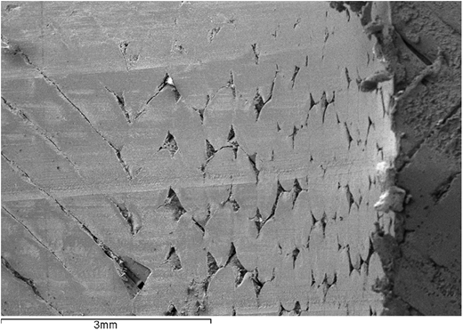 Figure 11 Refer to the image caption for details.