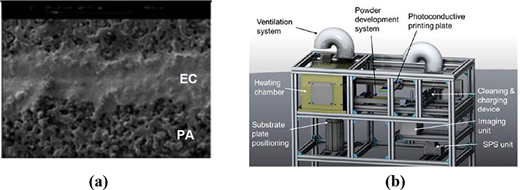 Figure 5 Refer to the image caption for details.