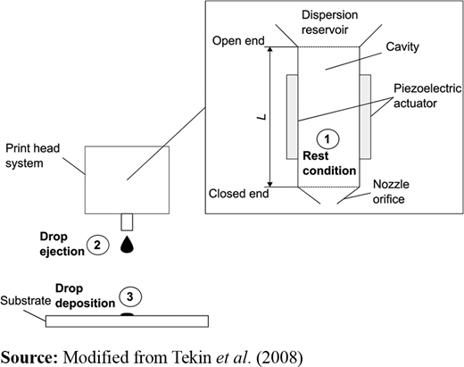 Figure 4 Refer to the image caption for details.