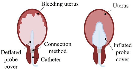 Figure 1 Refer to the image caption for details.