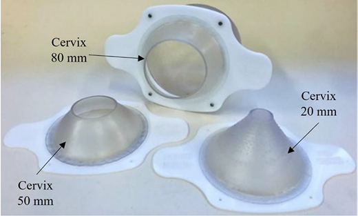 Figure 4 Refer to the image caption for details.