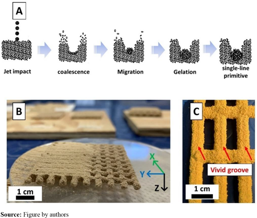 Figure 11 Refer to the image caption for details.