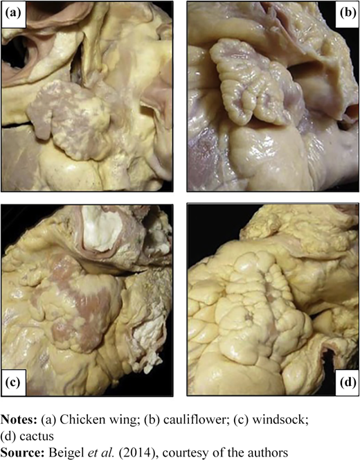 Figure 1 Refer to the image caption for details.