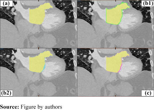 Figure 4 Refer to the image caption for details.