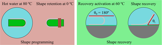 Figure 3 Refer to the image caption for details.