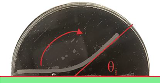 Figure 4 Refer to the image caption for details.