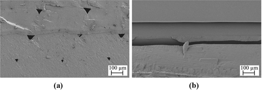 Figure 7 Refer to the image caption for details.