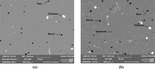 A scanning electron microscope image shows pores, titanium, and boron distribution in alloy samples before and after heat treatment.