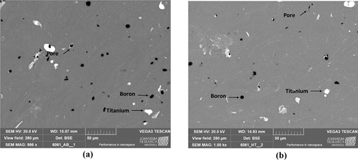 S E M micrographs display microstructure of 6061 alloy samples with boron, titanium and pores visible in both as built and heat-treated conditions.