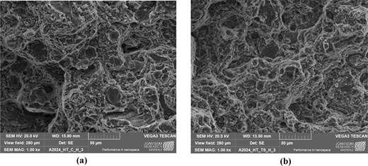 Two electron microscope images displaying nanoscale surface structures of a material. Both images contain labels indicating measurement settings and details.
