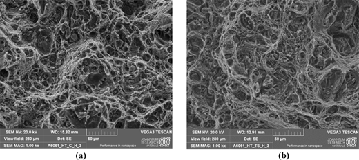 Two scanning electron microscope images side by side show detailed surfaces of materials, highlighting textures and structures at a high magnification level.