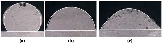 Three images show different curved shapes filled with dark specks, labeled (a), (b), and (c).