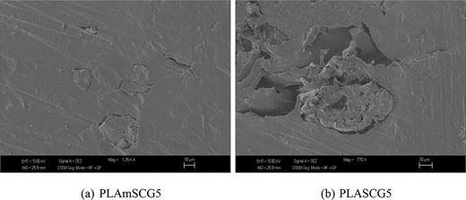 Two scanning electron microscopy images compare P L A m S C G 5 with a rough surface at 125 times magnification and P L A S C G A 5 with complex morphology at 770 times.