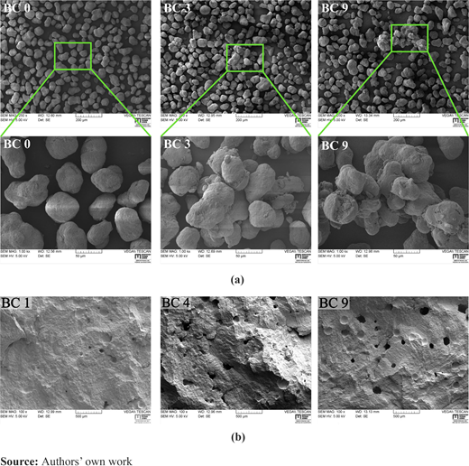 Figure 3 Refer to the image caption for details.