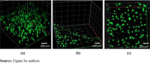 Figure 11 Refer to the image caption for details.
