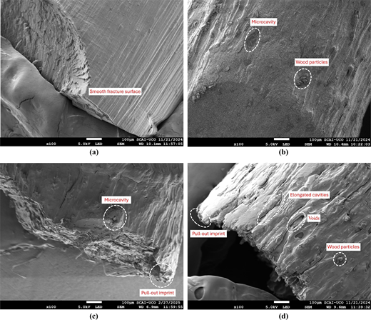 A close-up view of densely packed fine fibrous fragments and small irregular particles forming a coarse, granular surface.