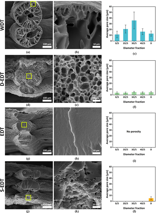 A panel shows S E M micrographs and pore size plots for W D T, D E D T, E D T and S E D T across different diameter fractions.