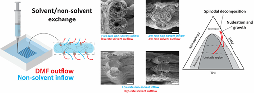 A schematic shows solvent and non-solvent exchange, related microstructures and a phase diagram linking T P U, non-solvent and D M F regions.
