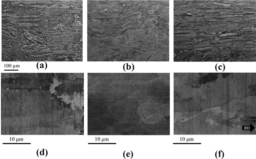 Six micrographs show surface structures at 100 micrometres and 10 micrometres, with layered features, grain regions, and pores.