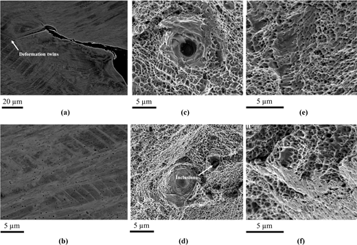 Scanning electron microscope images showing various structures, including deformation twins and inclusions, with scale bars indicating 20 micrometres and 5 micrometres.