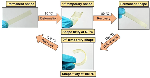 A sequence diagram illustrating permanent and temporary shapes of a strip during deformation and recovery at 50 degrees Celsius, 80 degrees Celsius, 100 degrees Celsius, and 120 degrees Celsius.