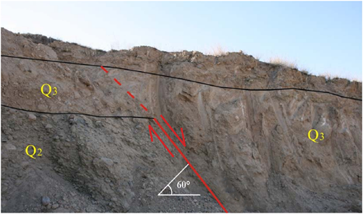 Figure 3 Refer to the image caption for details.