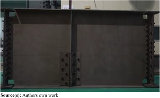 Plate 1 Refer to the image caption for details.