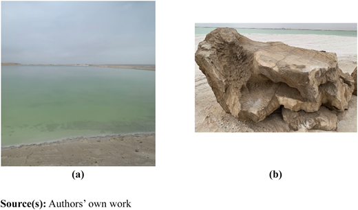Figure 1 Refer to the image caption for details.