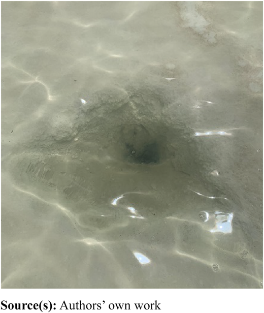Figure 4 Refer to the image caption for details.