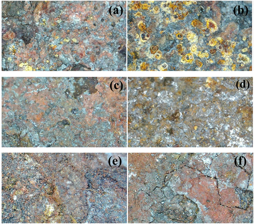 Figure 5 Refer to the image caption for details.
