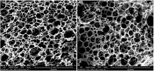 Figure 16 Refer to the image caption for details.