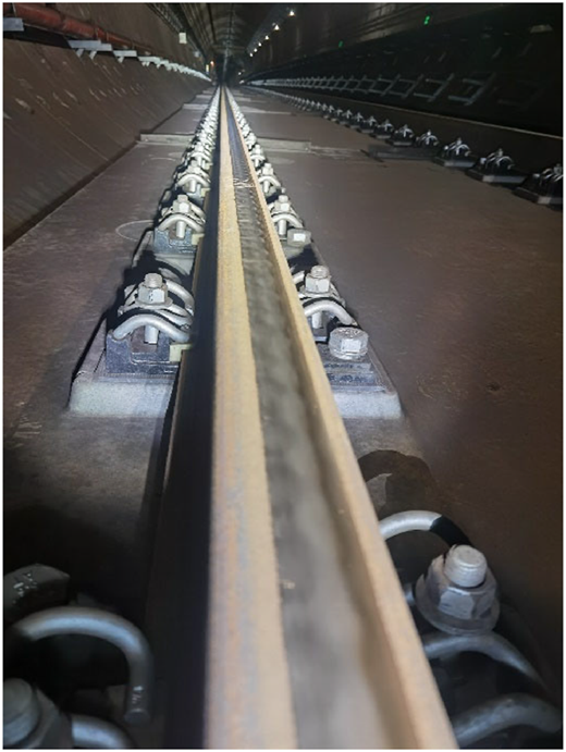 Figure 1 Refer to the image caption for details.